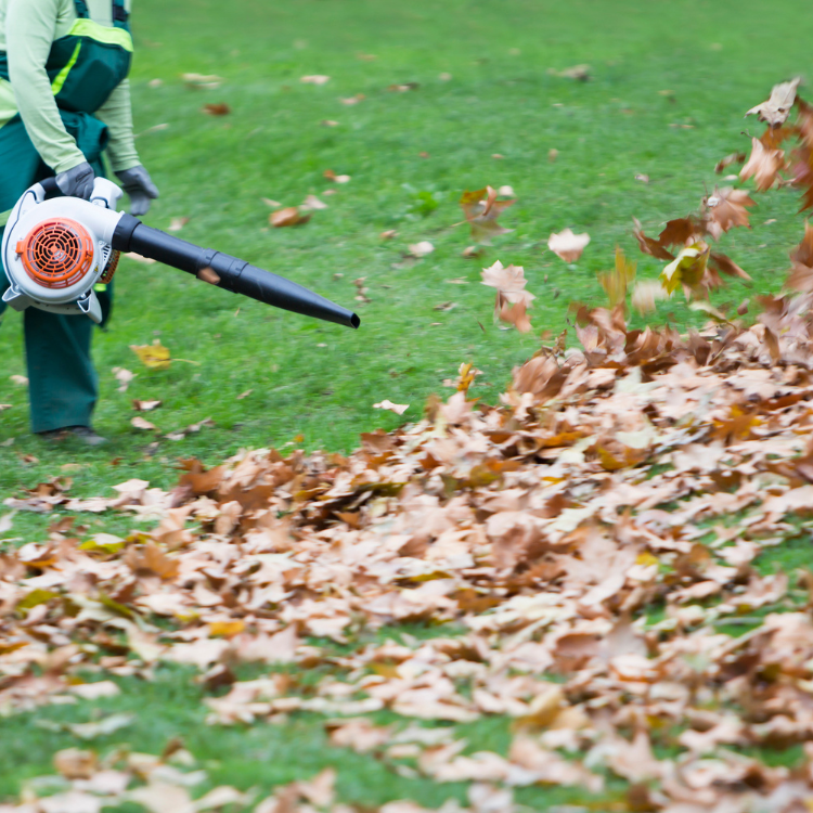 Landscaping & Snow Removal in Fort Collins Colorado